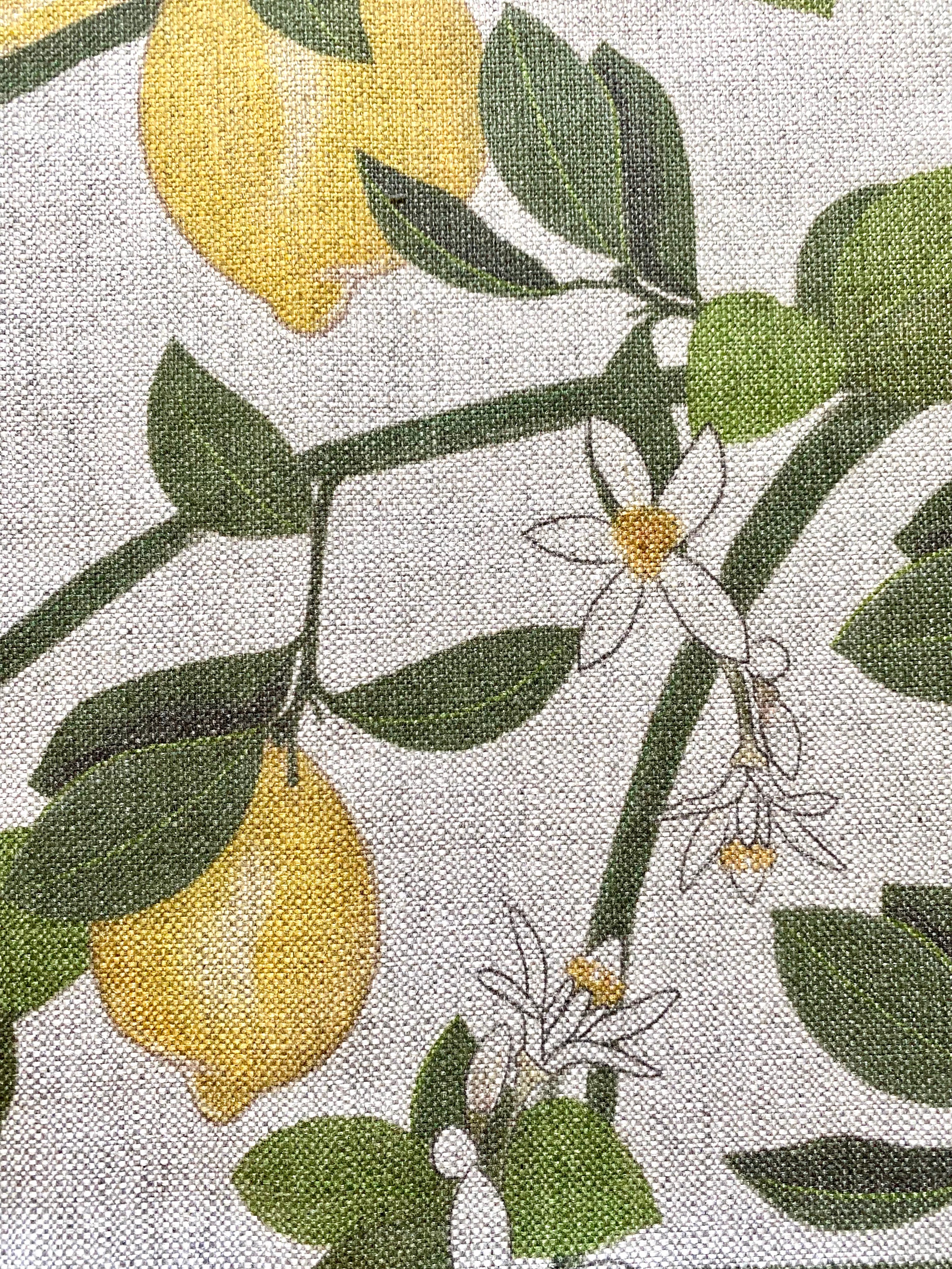 Set tovaglietta americana antimacchia, limoni, 2 pz, cm 45x35 - EDIZIONE LIMITATA